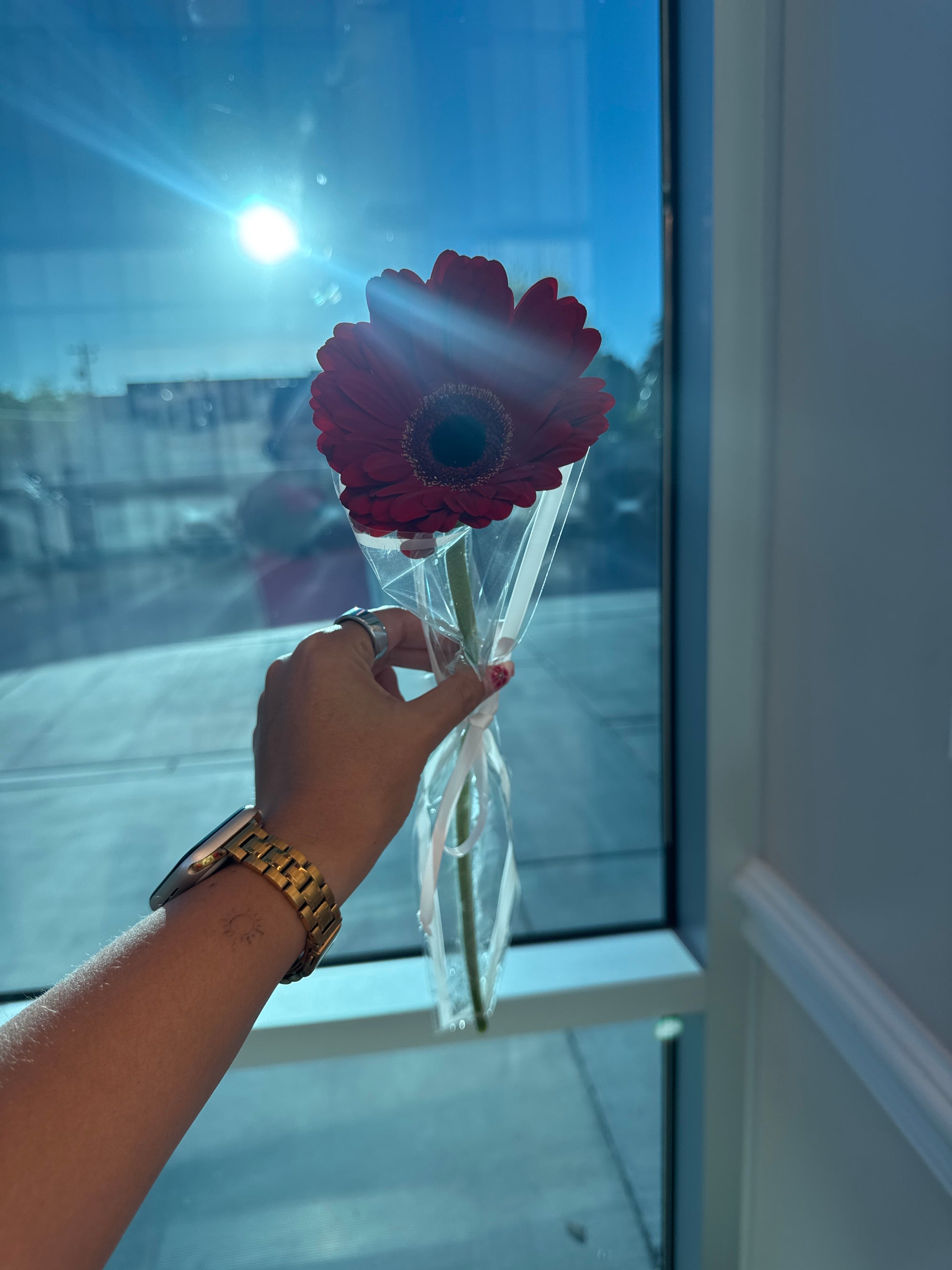 Single Stem Blooms